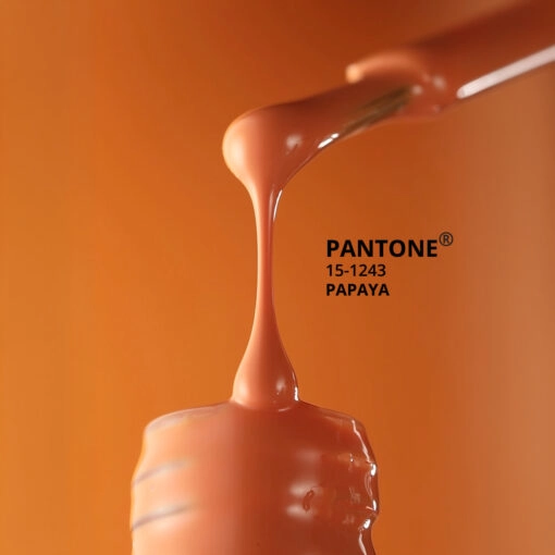 Momo%20Professional%20Kalıcı%20Oje%20Pantone%20Papaya%2010ml